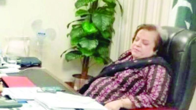 Pakistani Minister Shireen Mazari Sleeping in Office Pakistani Minister Shireen Mazari Sleeping in Office
