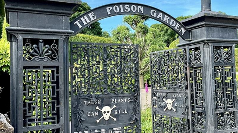 The Poison Garden The Poison Garden