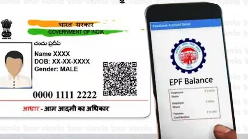 EPFO Removes Aadhaar Card As Date of Birth Proof EPFO Removes Aadhaar Card As Date of Birth Proof