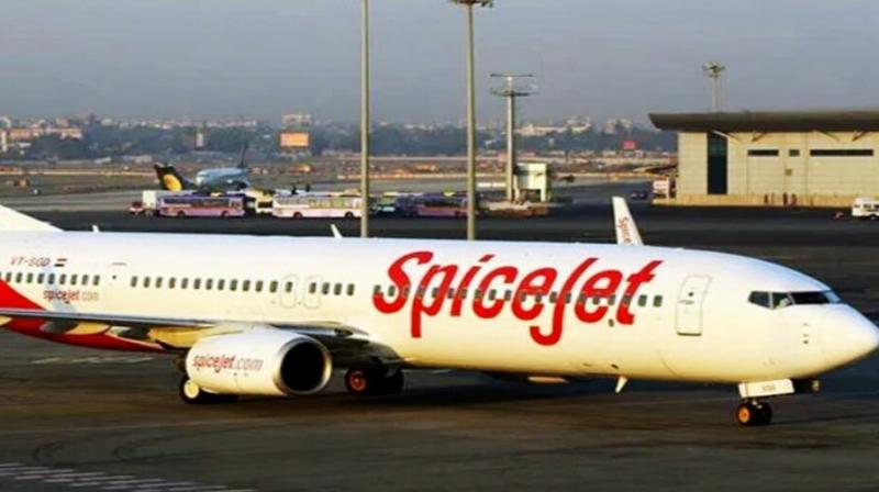  Spicejet In Flight expire meal Row News in Punjabi 