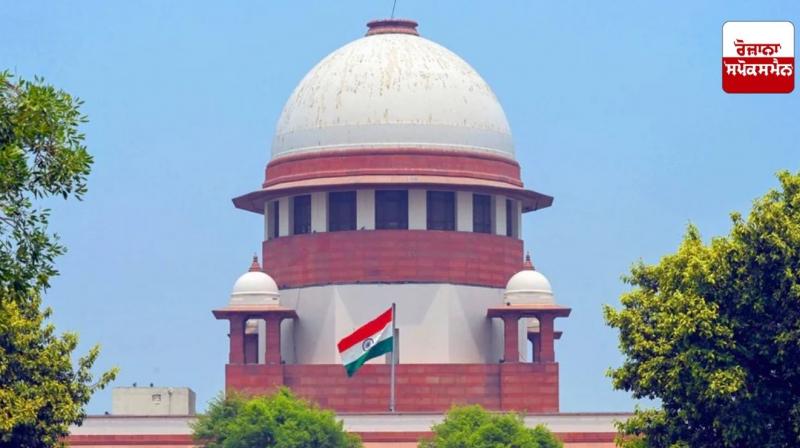 You should earn and eat for yourself Supreme Court news You should earn and eat for yourself Supreme Court news