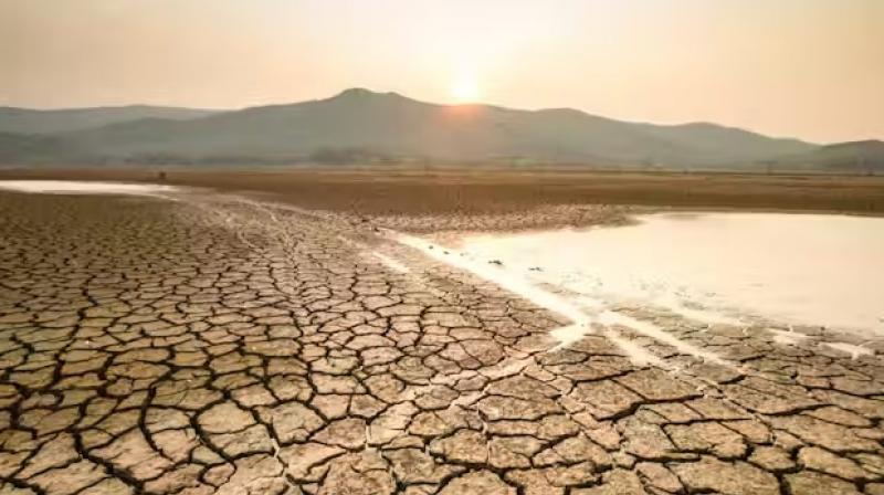 Climate Change News in punjabi Climate Change News in punjabi