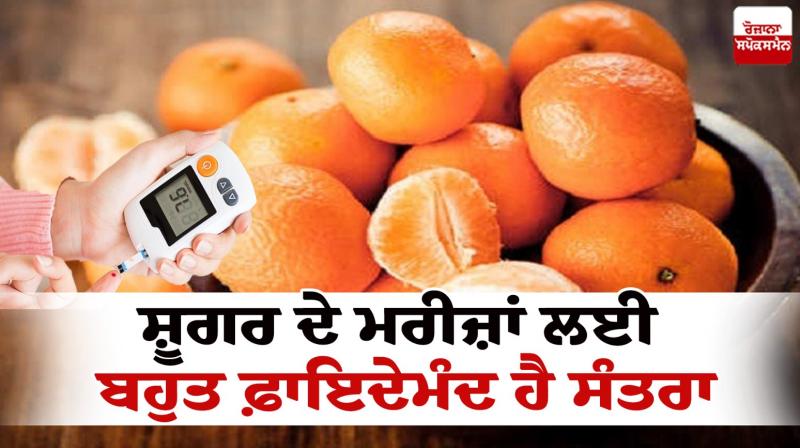 Orange is very beneficial for diabetic patients News in punjabi
