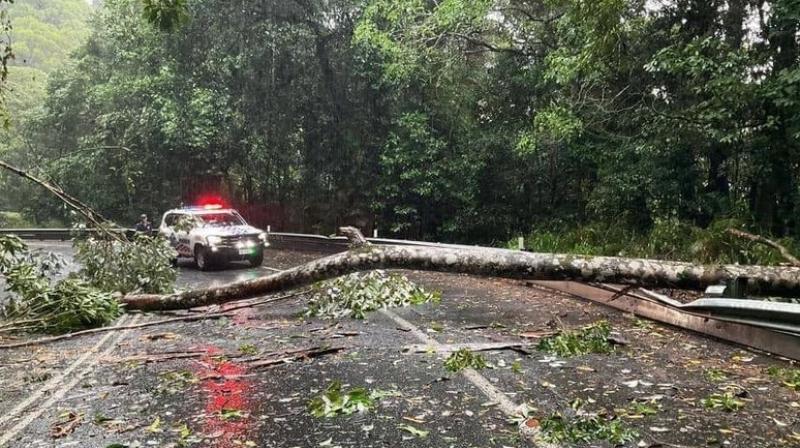 Cyclone Jasper wreaked havoc in Australia News in punjabi Cyclone Jasper wreaked havoc in Australia News in punjabi