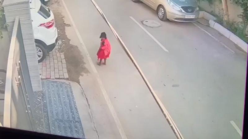 Dogs bit the girl in Ludhiana news in punjabi Dogs bit the girl in Ludhiana news in punjabi
