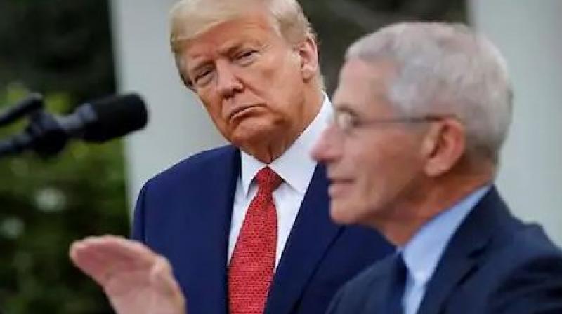 Fauci tells congress that states face serious consequences Fauci tells congress that states face serious consequences