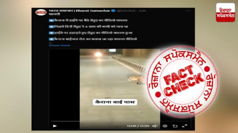 Old video of leopard roaming on highway from Karnataka viral again in the name of Uttar Pradesh Old video of leopard roaming on highway from Karnataka viral again in the name of Uttar Pradesh