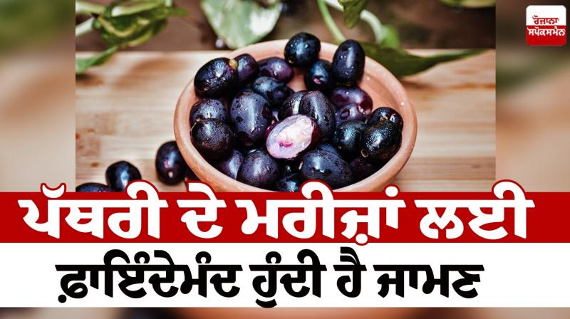 Jaman is beneficial for stone patients News in punjabi 