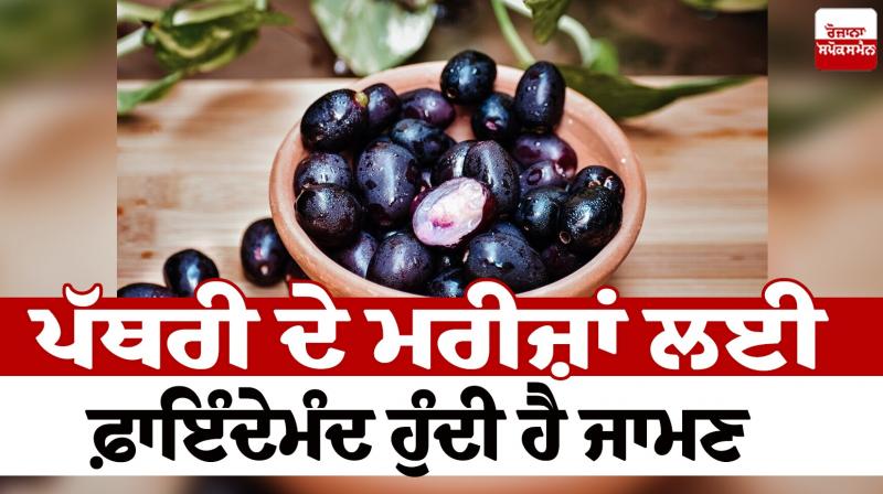 Jaman is beneficial for stone patients News in punjabi Jaman is beneficial for stone patients News in punjabi