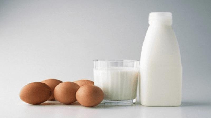 dairy farm dairy farm