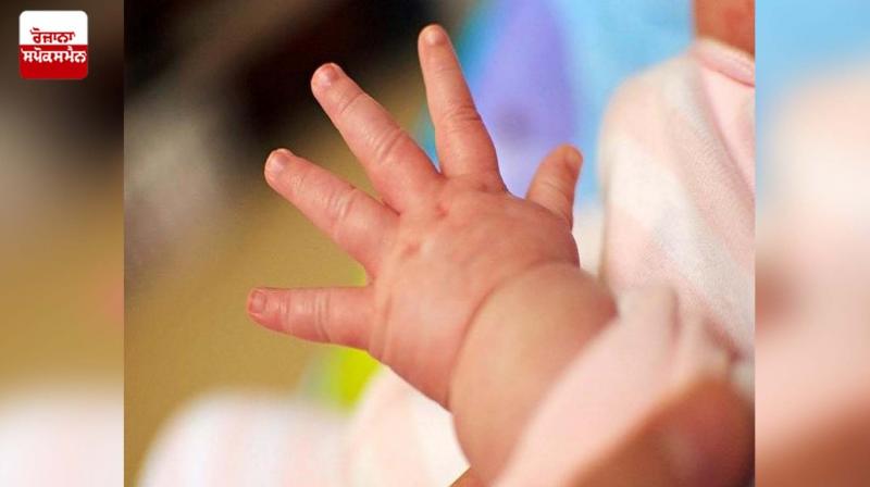 Two-month-old baby killed, body found in oven Two-month-old baby killed, body found in oven