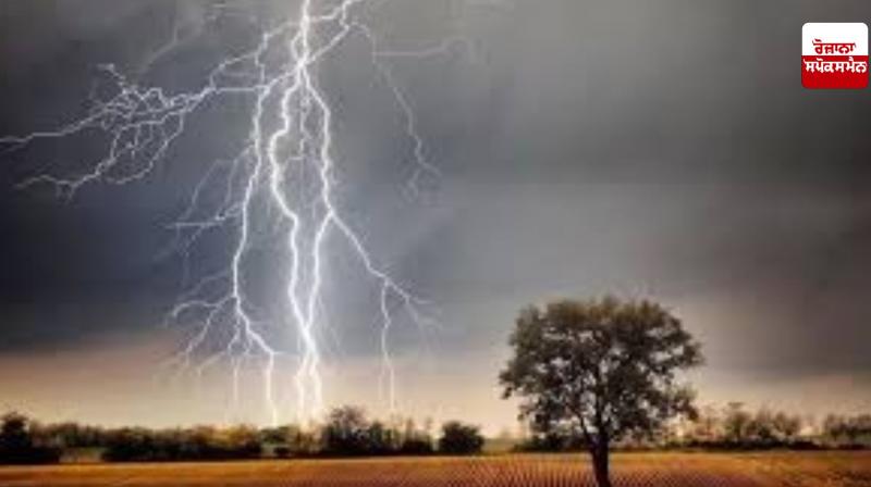 Jammu and Kashmir: More than 100 animals die due to lightning Jammu and Kashmir: More than 100 animals die due to lightning