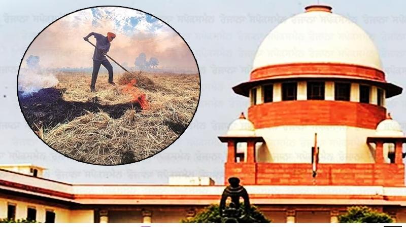Delhi Air Pollution: 'Stop Stubble Burning', SC Directs Governments Delhi Air Pollution: 'Stop Stubble Burning', SC Directs Governments