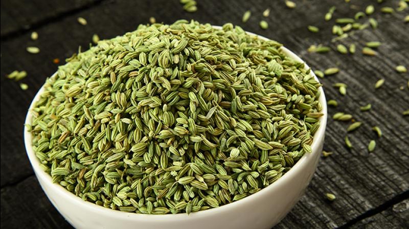 fennel fennel