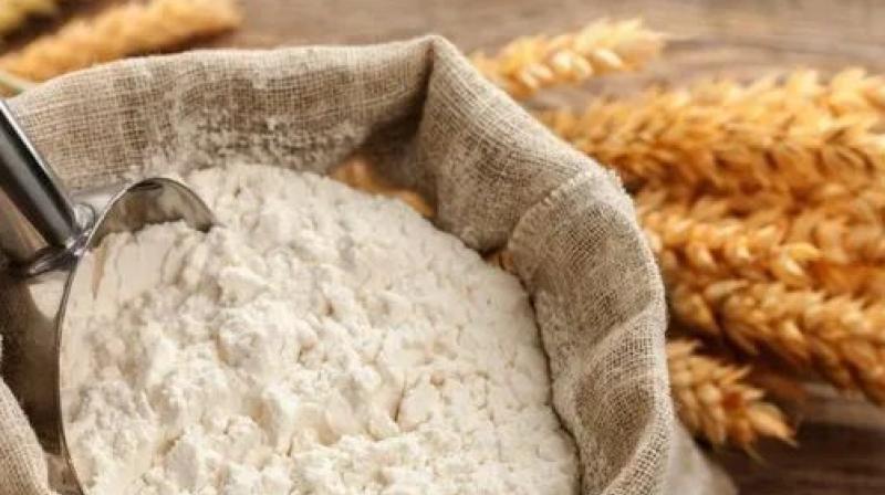 30 lakh families of Punjab will get flour and wheat at home