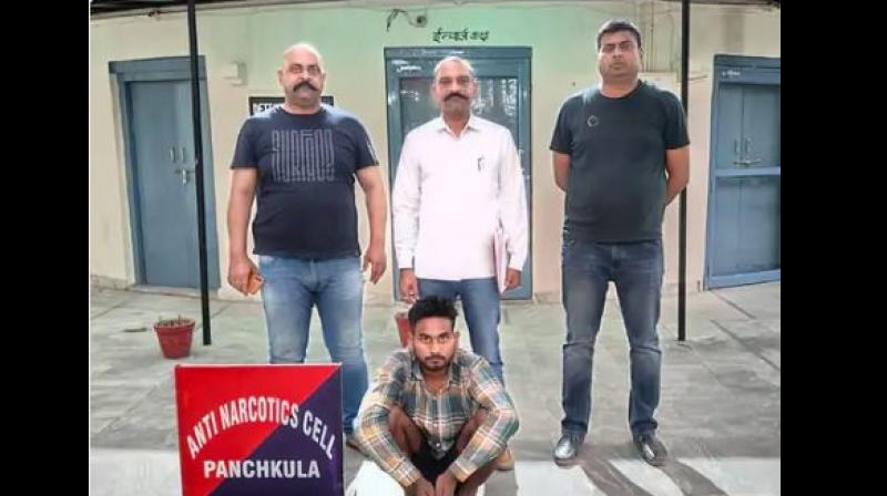 Panchkula drug Smuggler Panchkula drug Smuggler