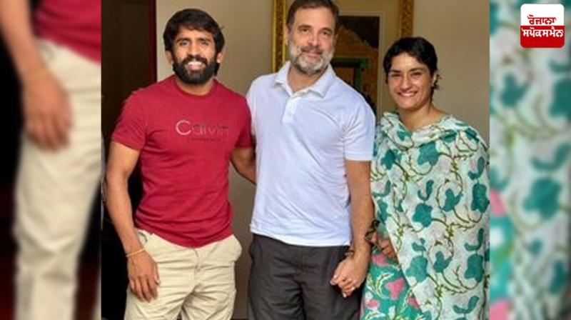 Vinesh Phogat-Bajrang Punia met Rahul Gandhi News Vinesh Phogat-Bajrang Punia met Rahul Gandhi News