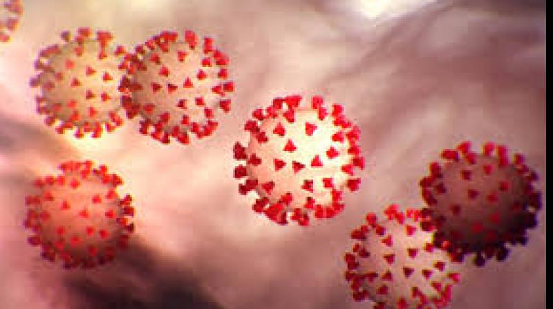 coronavirus coronavirus