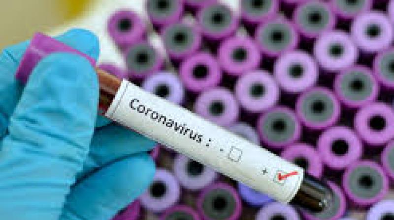 Corona virus Corona virus