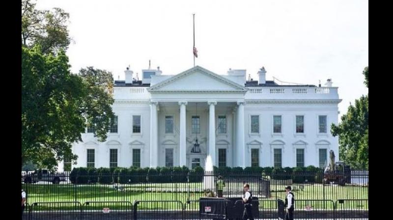 White house White house