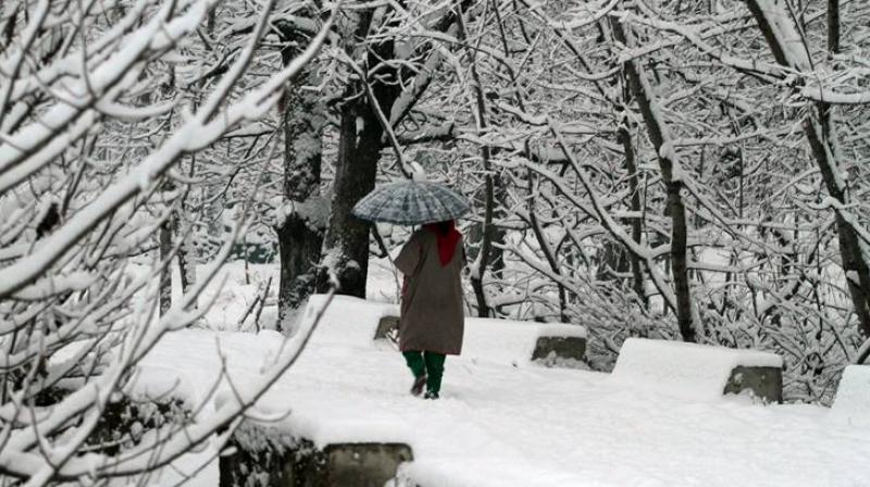 Snow fall Snow fall
