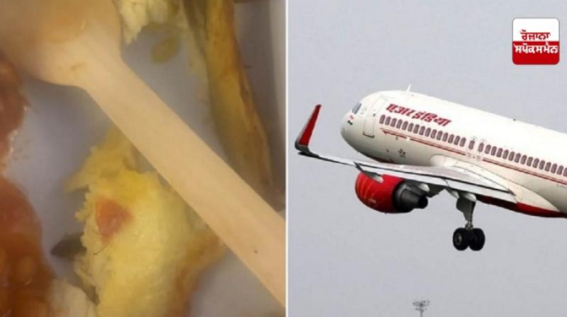 Air India Air India