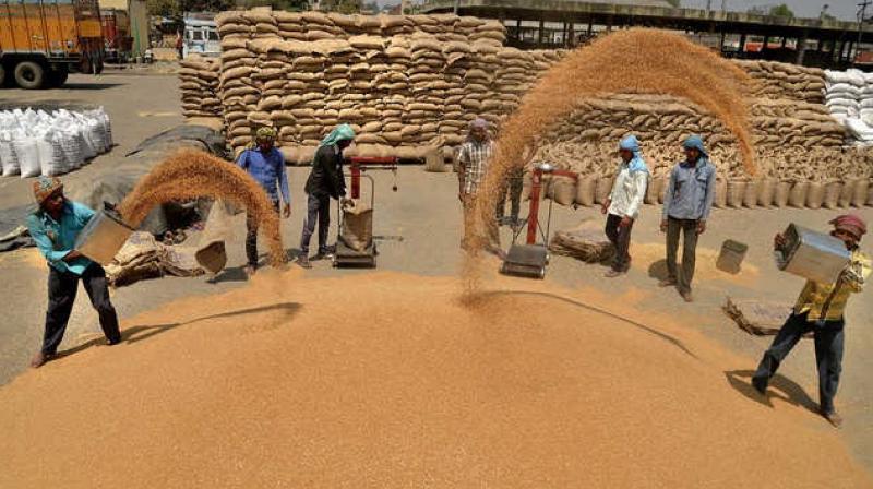 The government will purchase 30 million tonnes of wheat The government will purchase 30 million tonnes of wheat