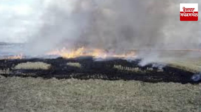 14 farmers arrested for burning straw in Haryana's Kaithal 14 farmers arrested for burning straw in Haryana's Kaithal