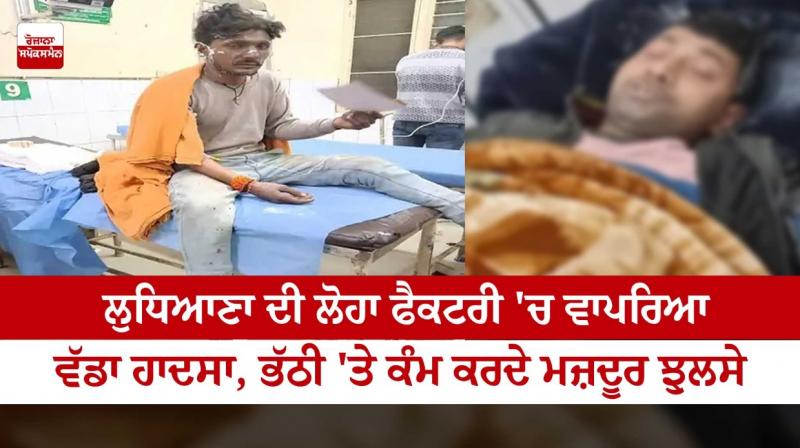 punjab News punjab News