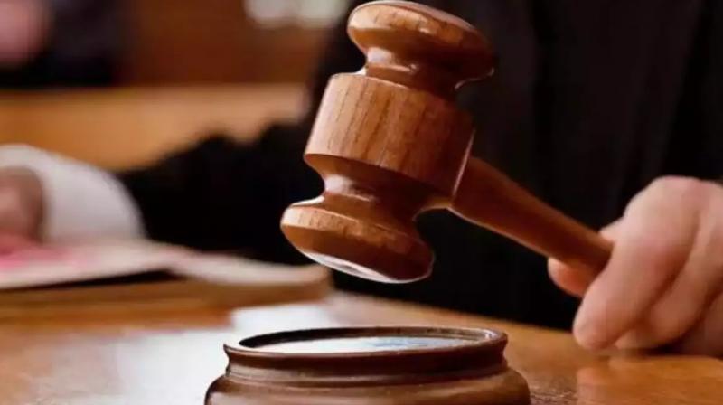 punjab and haryana high court punjab and haryana high court