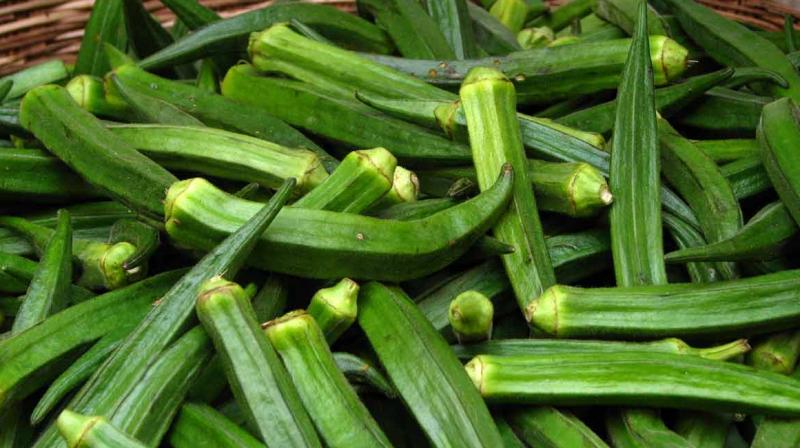 ladyfinger ladyfinger
