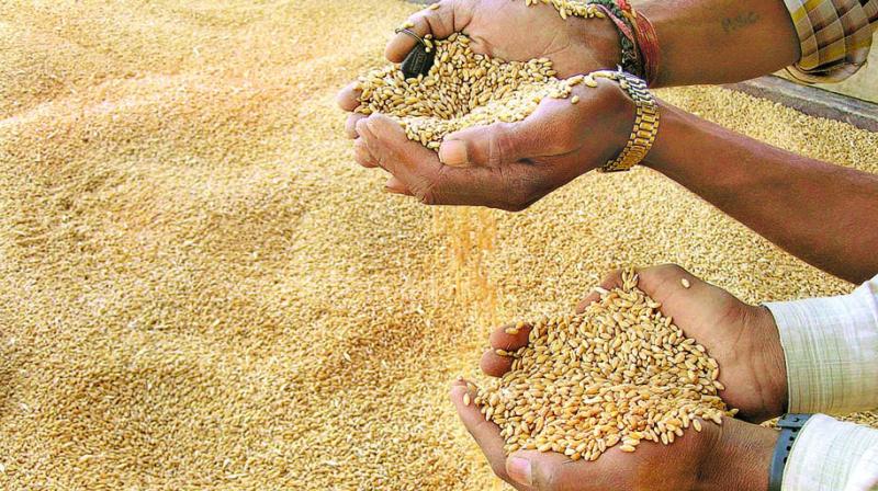 The Government of India will distribute free foodgrains in May and June