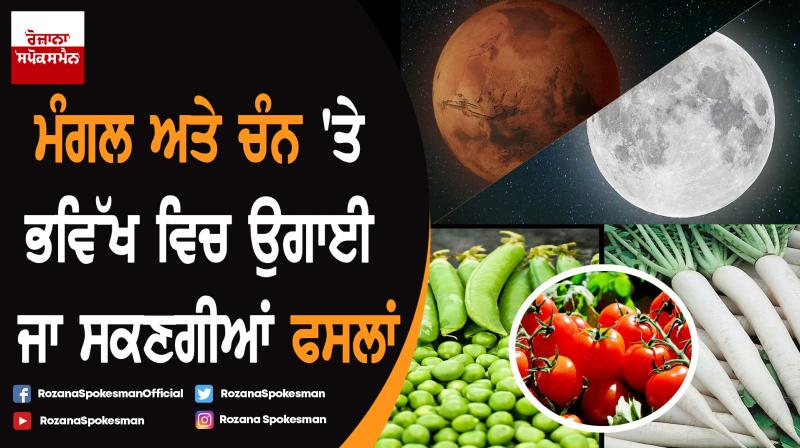 Soil on moon and Mars likely to support crops : Study Soil on moon and Mars likely to support crops : Study