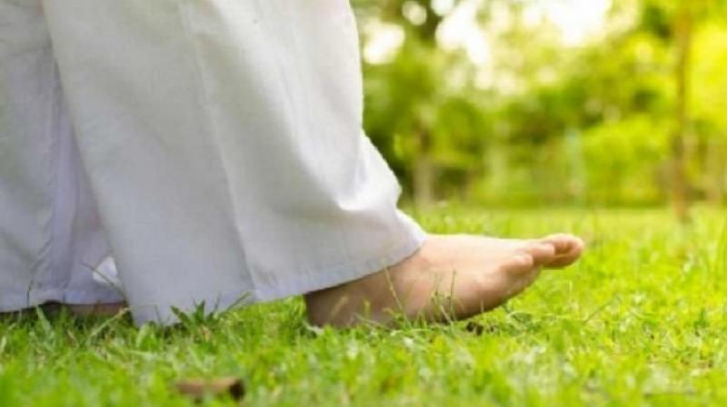 Let's know about the benefits of walking barefoot on grass Let's know about the benefits of walking barefoot on grass