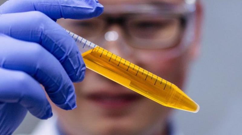 Common food coloring can make the skin and muscles temporarily transparent Common food coloring can make the skin and muscles temporarily transparent