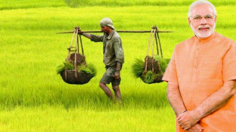 MSP decision on crops MSP decision on crops