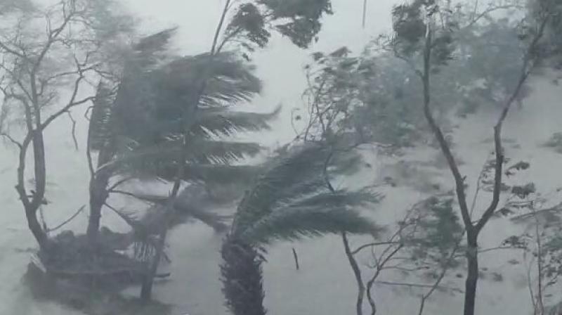 Kompasu Typhoon Kompasu Typhoon