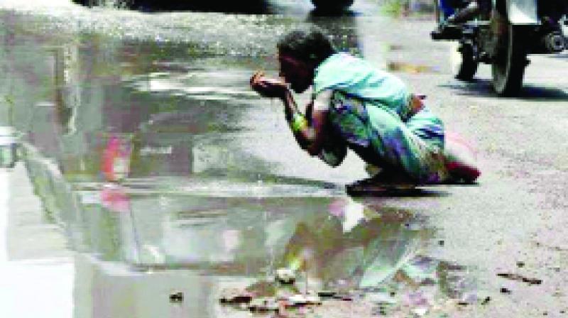 Poor Woman drinking Dirty Water Poor Woman drinking Dirty Water
