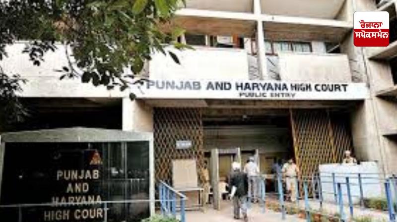 Haryana-Punjab High Court: Murder accused Gurmeet Singh seeks interim bail for farming Haryana-Punjab High Court: Murder accused Gurmeet Singh seeks interim bail for farming