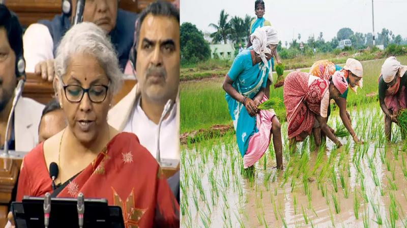 The government has increased the farm loan target by 11 percent to Rs 20 lakh crore for 2023-24. The government has increased the farm loan target by 11 percent to Rs 20 lakh crore for 2023-24.