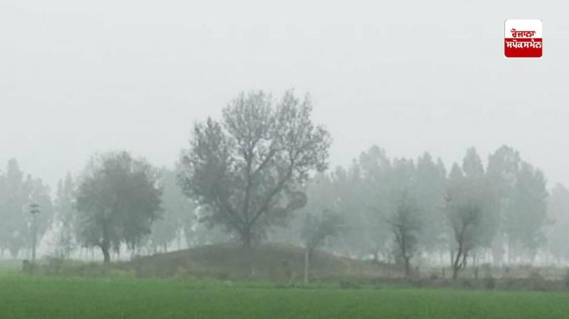 Yellow alert of fog issued for 2 days in Punjab-Chandigarh Yellow alert of fog issued for 2 days in Punjab-Chandigarh