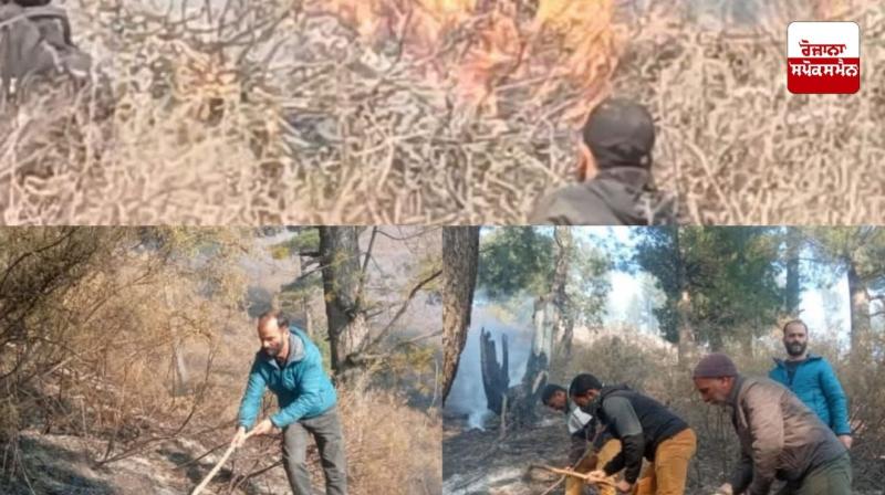 Fire in Jammu and Kashmir's Nowgam forest 90 percent under control