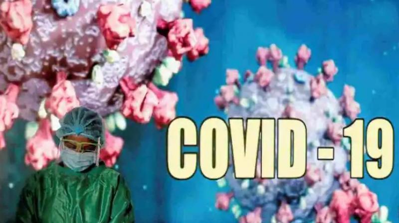 Corona Virus Corona Virus