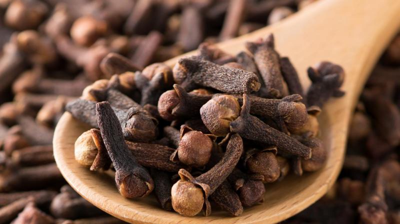 Benefits of Clove Benefits of Clove