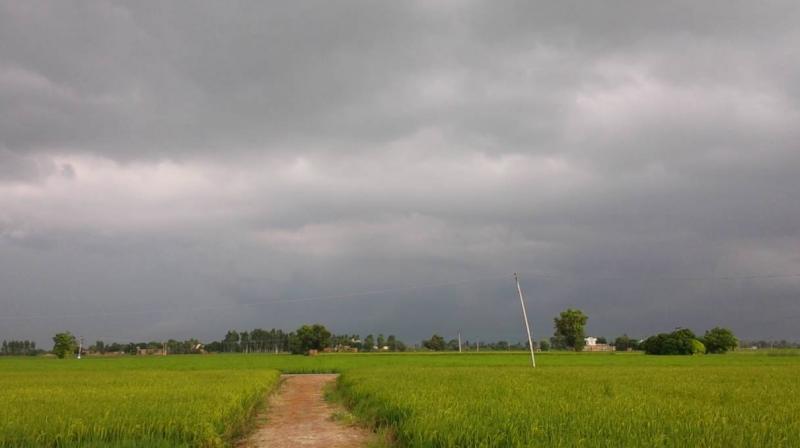 Weather in Punjab 