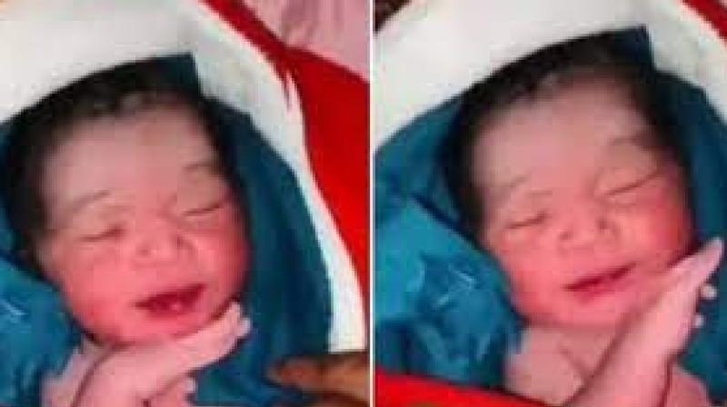 Viral Video: The public of the internet was blown away by the Pushpa’s swag of the newborn, said – it will not bow down Viral Video: The public of the internet was blown away by the Pushpa’s swag of the newborn, said – it will not bow down