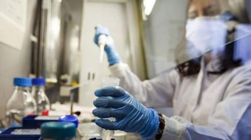 Covid 19 virus england oxford university lab vaccine monkey successful trial