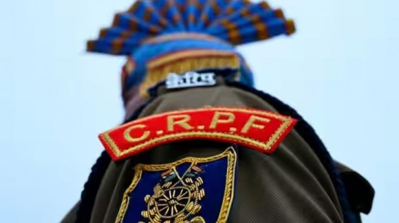 photo photo