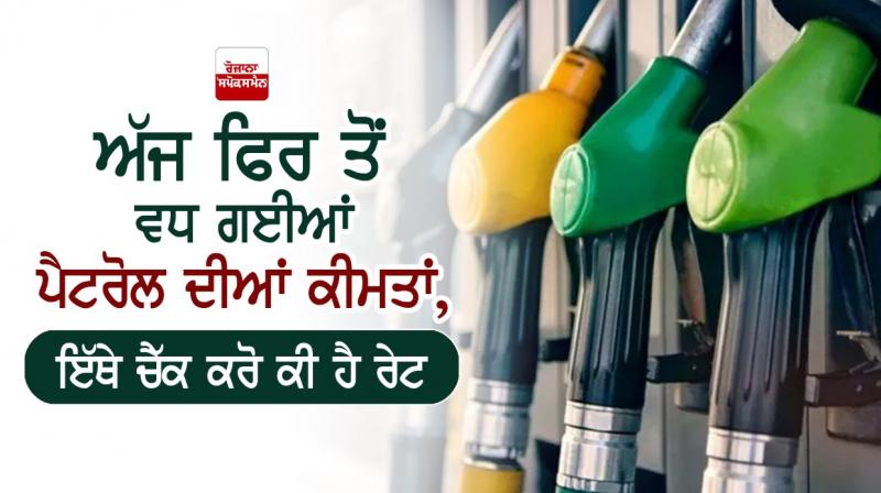 Petrol diesel Petrol diesel