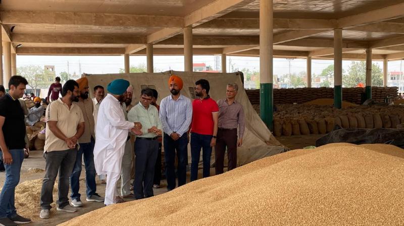 Punjab Mandi Board Secretary Ramveer makes surprise visit to various grain markets of Sangrur district Punjab Mandi Board Secretary Ramveer makes surprise visit to various grain markets of Sangrur district